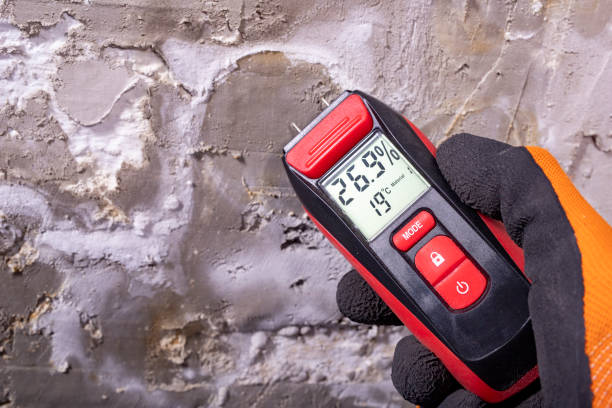 Best Office Mold Removal Services  in Pinehurst, ID