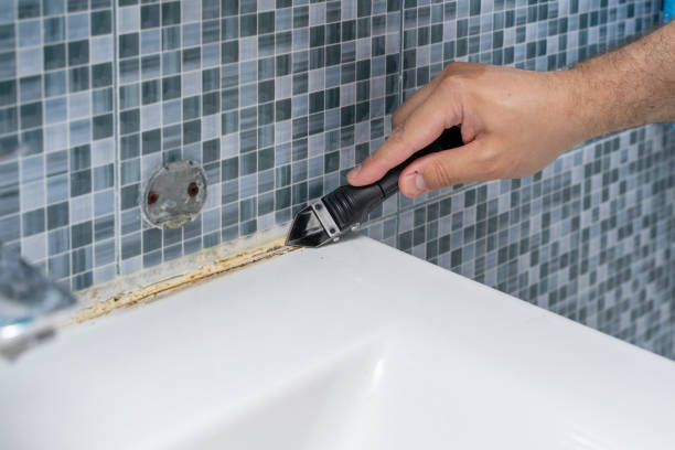 Best Local Mold Removal Service  in Pinehurst, ID